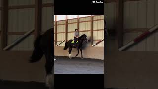 The Outdoor Was Being Dragged So We Had To Go Inside 😔