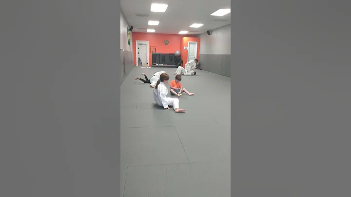 my 2 week of jui jitsu