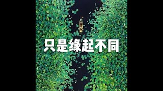 201905 只是缘起不同51216