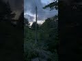 Midnight in Norway 60°N in June