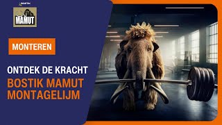 Bostik Mamut Montagelijm Product Presentatie Bostik Benelux