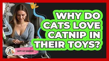 Why Do Cats Love Catnip In Their Toys? - Happy Cat Handbook