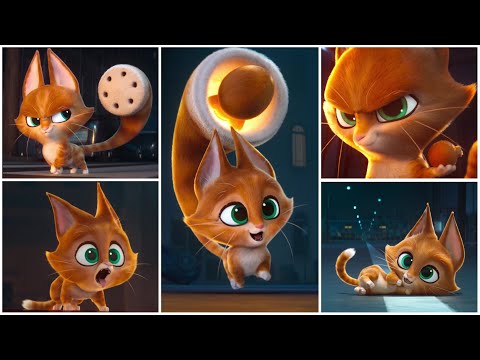 [DC League of Super-Pets] The Complete Animation of Whiskers