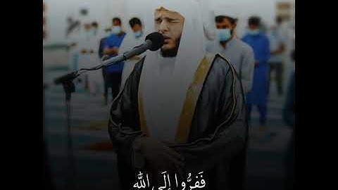 "ففروا إلي الله " تلاوة خاشعة | مقاطع قرأنية