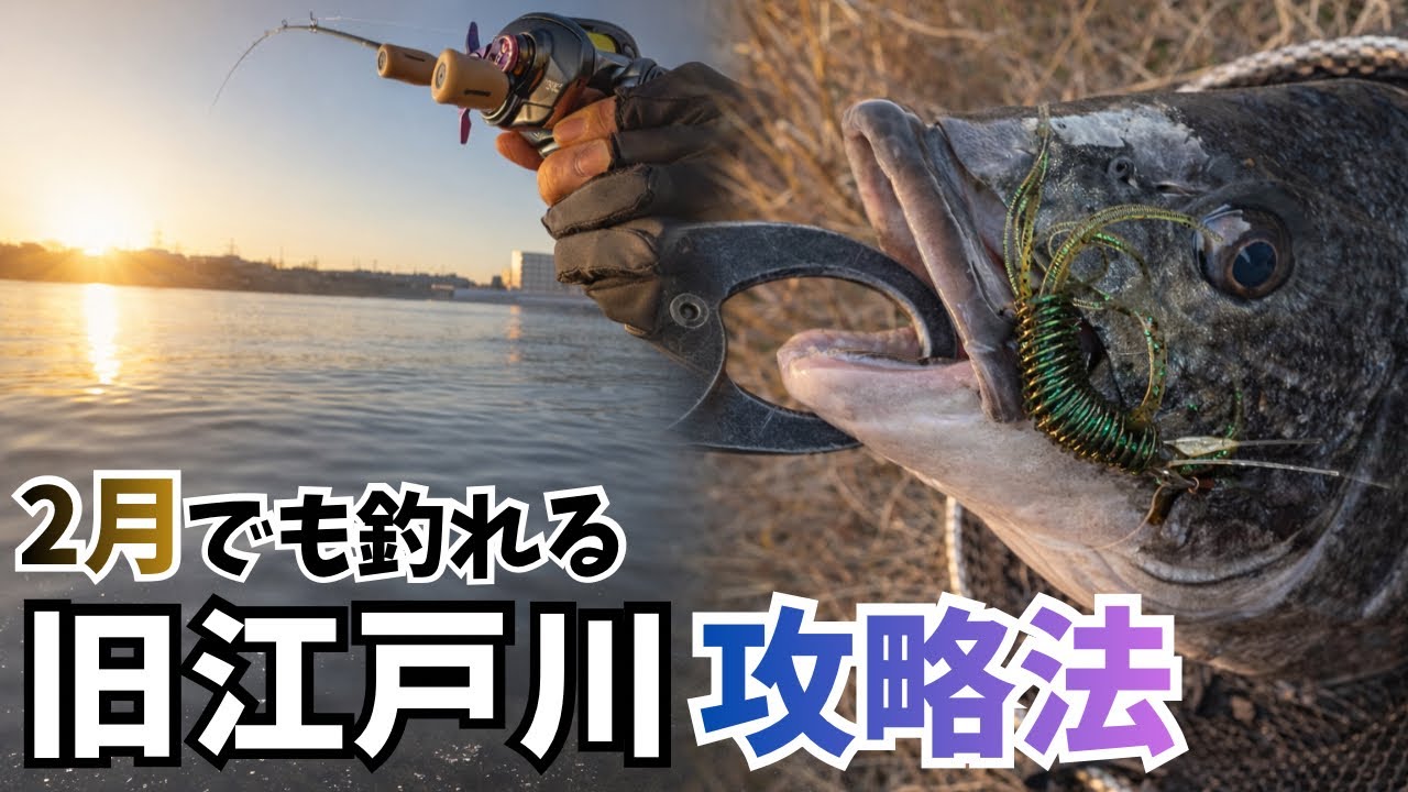 【東京湾奥チニング】2月の旧江戸は楽しいね。