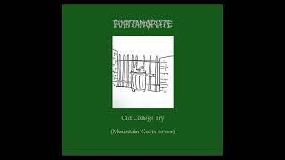Puritan Opiate -Old College Try (Mountain Goats cover)