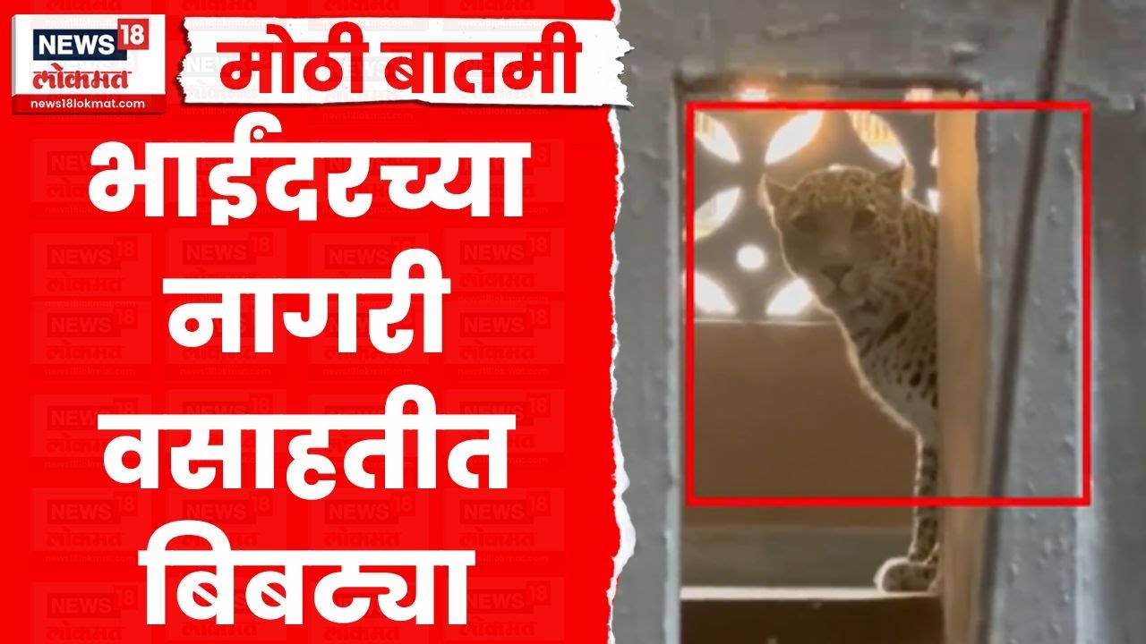 Bhayandar Leopard News | भाईंदरमध्ये नागरी वसाहतीत बिबट्याचा शिरकाव, थेट इमारतीत घुसला  Marathi News