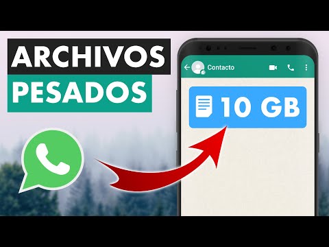 Video: ¿Qué tamaño de archivos puedes enviar por WhatsApp?