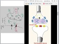 Neuron part 4 animations