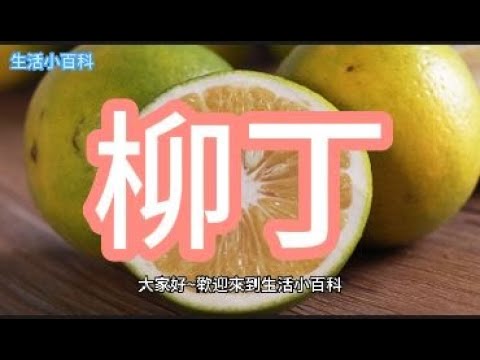 柳丁