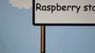 Choo Hoo Tractor By Peter Weatherall