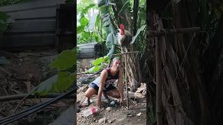 short goodvibes youtubeshorts youtube youtube