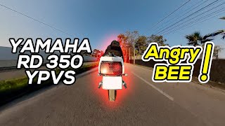 Rd 350 Ypvs Angry Bee Sound