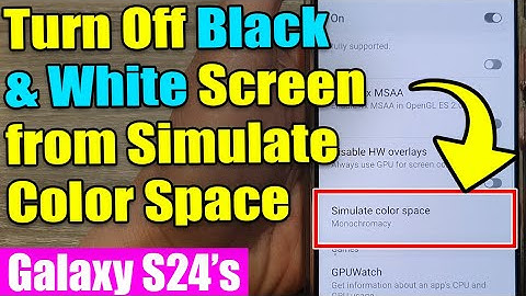 🌈 Galaxy S24/S24+/Ultra: How to Turn Off Black & White Screen from Simulate Color Space