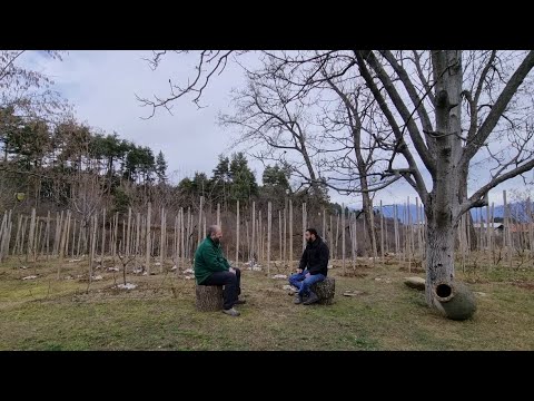 კახათი კორნიენკოს ანსამბლი - ეთნოფორი