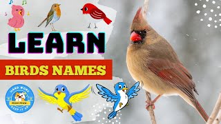 Birds Name And their sounds | Learn about birds | Different types of Birds | Kids Learning Center