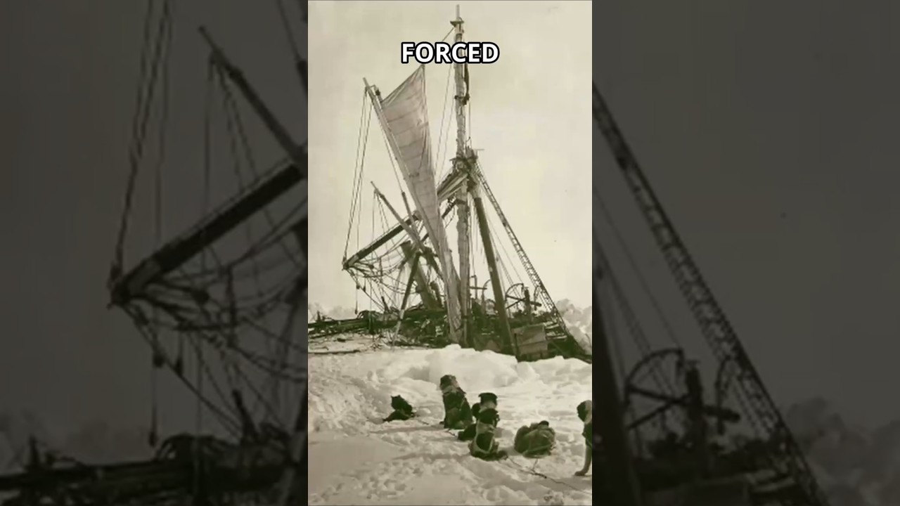 The Ice Crushed Their Ship. They Refused to Die. #shorts #courage #history #survival #endurance