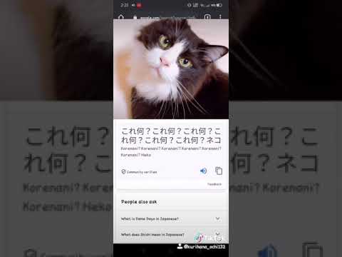 KORE NANI NEKO Google Translation - 栗花落レム (Rem Tsuyuri) - YouTube