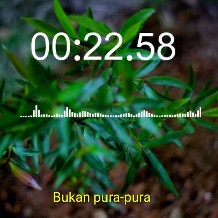 Story WA terbaru || menghitung hari