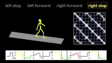 Temporal Segmentation of Human Behavior - Mocap (Simple)