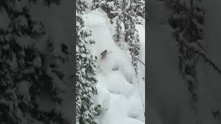 This shouldnt look this easy🤯
A cliff made of powder🤯
The landing may be soft, but theres nothing easy about getting there. With @danetudors style, he somehow makes it look effortless🔥
#tgrfromthevault This shouldnt look this easy🤯