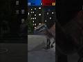Battling against RAPTOCERAS Jurassic World Alive Gameplay Battling against RAPTOCERAS Jurassic World Alive Gameplay