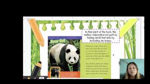 Grade 3: Non-Feature Text Features 1