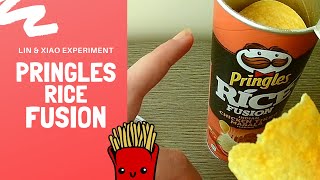 L&X Pringles Rice Fusion Gusto Pollo Indiano Tikka Masala