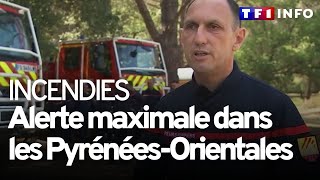 Risque d'incendies : alerte maximale dans les Pyrénées-Orientales