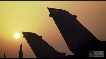 The Royal Air Force & RAF Regiment