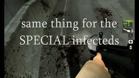 L4D 2 graphics error