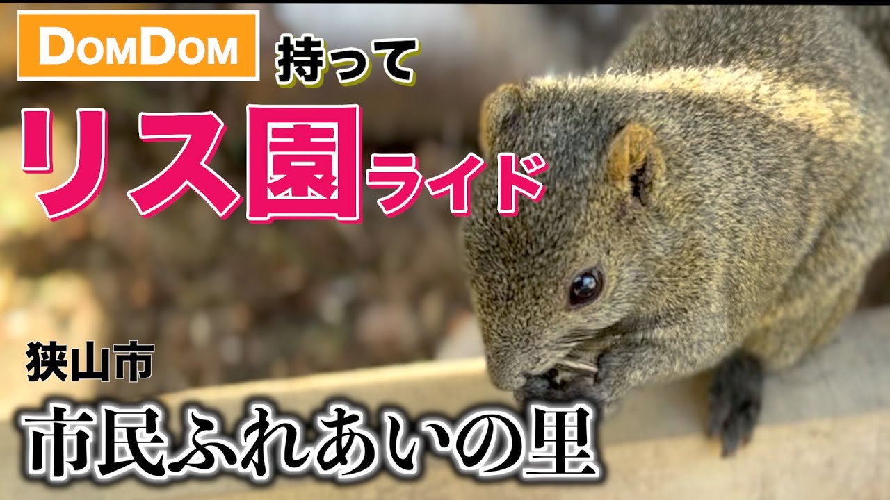 市民 ふれあい の 里 リス 園