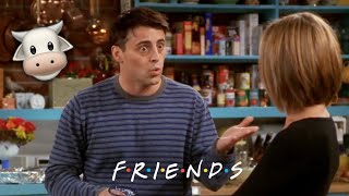 Download Lagu It's a Moo Point | Friends MP3 Download Lagu It's a Moo Point | Friends MP3