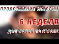 Продолжение истории/шестая неделя/Дальнобой по Европе