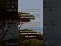 Библия, Бытие 4:21-24 #bible #god #amin #jesus