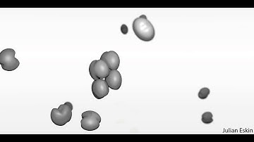 Actin filament nucleation