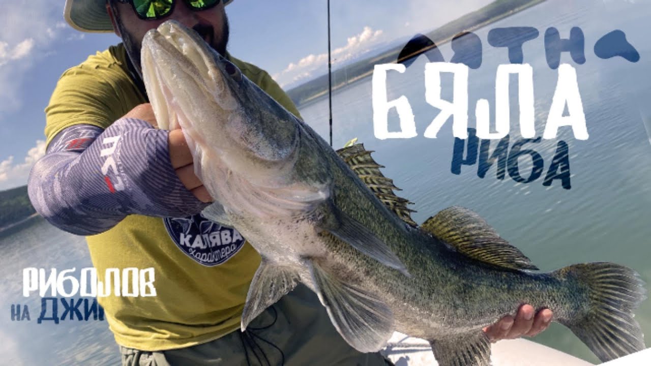 Нов Рекорд - лятна бяла риба на мини джигче #kingdom #3014B