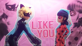 Ladybug x Cat Noir [Miraculous LadyBug] - Boy Like You