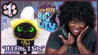 If I Fits, I Sits! | Little Kitty, Big City [Part 1]