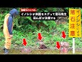 【無職サバイバル】イノシシが斜面をエグって落石発生。田んぼが決壊する【限界集落で無職になる＃53】