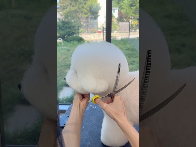 동그란 공 하나 만들어볼게요 ⚪✂️