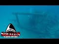 THE WRECK OF THE RODEO 25 WITH JOHN CHATTERTON - SQUALUS MARINE DIVERS