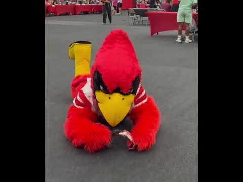 video preview image