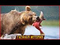 🐻 Медведь спас деревню от голода. Таежные истории. Удивительные рассказы про животных, жизнь в тайге