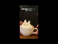 表参道の話題沸騰ラテアート知ってる?#表参道 #カフェ #デート #shorts