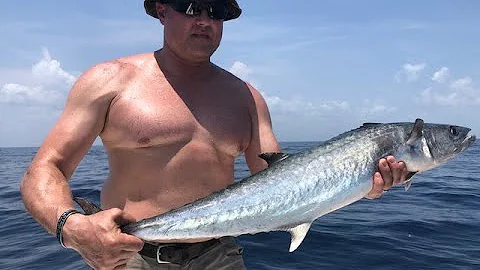 Mahi, Cobia, Kingfish, Sailfish, Goliath Grouper, Sharks, 'Merica!