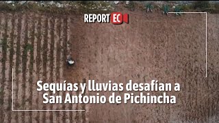 Sequías y lluvias desafían a San Antonio de Pichincha