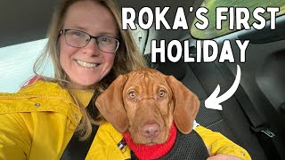 Roka's 1st Holiday! Cosy pubs and festive vibes // Recovered Life Vlog by Emily Spence 312 views 5 months ago 6 minutes, 50 seconds