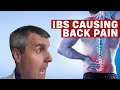 آیا سندرم روده تحریک پذیر IBS می تواند باعث کمردرد شما شود 