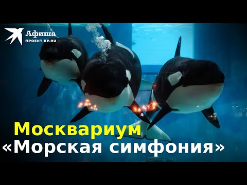 Мюзикл на воде